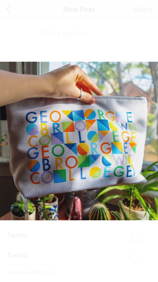 The @GBCollege gusseted bag catching some rays 😎 check out our entire GBC line at instoregbc.com/collections/gb…! As always, all products are designed by students or alumni 💫