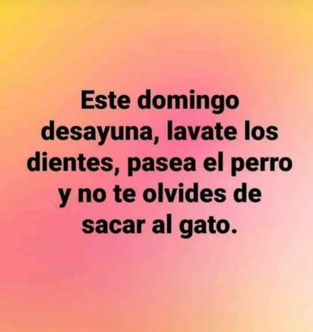 Ari2255's tweet photo. El domingo volvemos a ser felices #SeVan #YoVotoFF https://t.co/P0XTTt6DxD