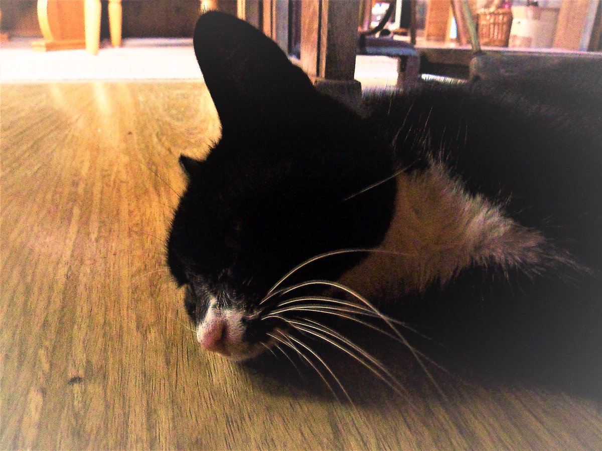 Dreaming of proper, self-caught food.