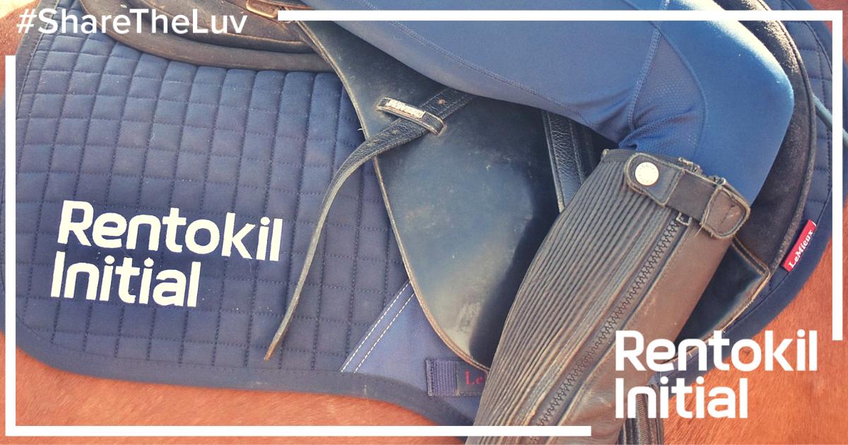 <a href="/HesteyriHorses/">Hesteyri Horses</a> have been bedding in their new #kit of late, we think the white and navy contrast looks great! #ShareTheLuv