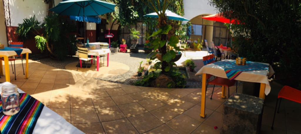 cheapmex's tweet photo. #Comida #Desayuno #EnCasaConMisMonstruos #MUSA @RealGDT #Restaurantes #UDG Muy rico, ya fui y está muy cerca del @MUSAudg sobre #LopezCotilla casi esquina #EnriqueDiazDeLeón tienen #CaféDeOlla
@karent_ponce https://t.co/eK3UUx4HF8