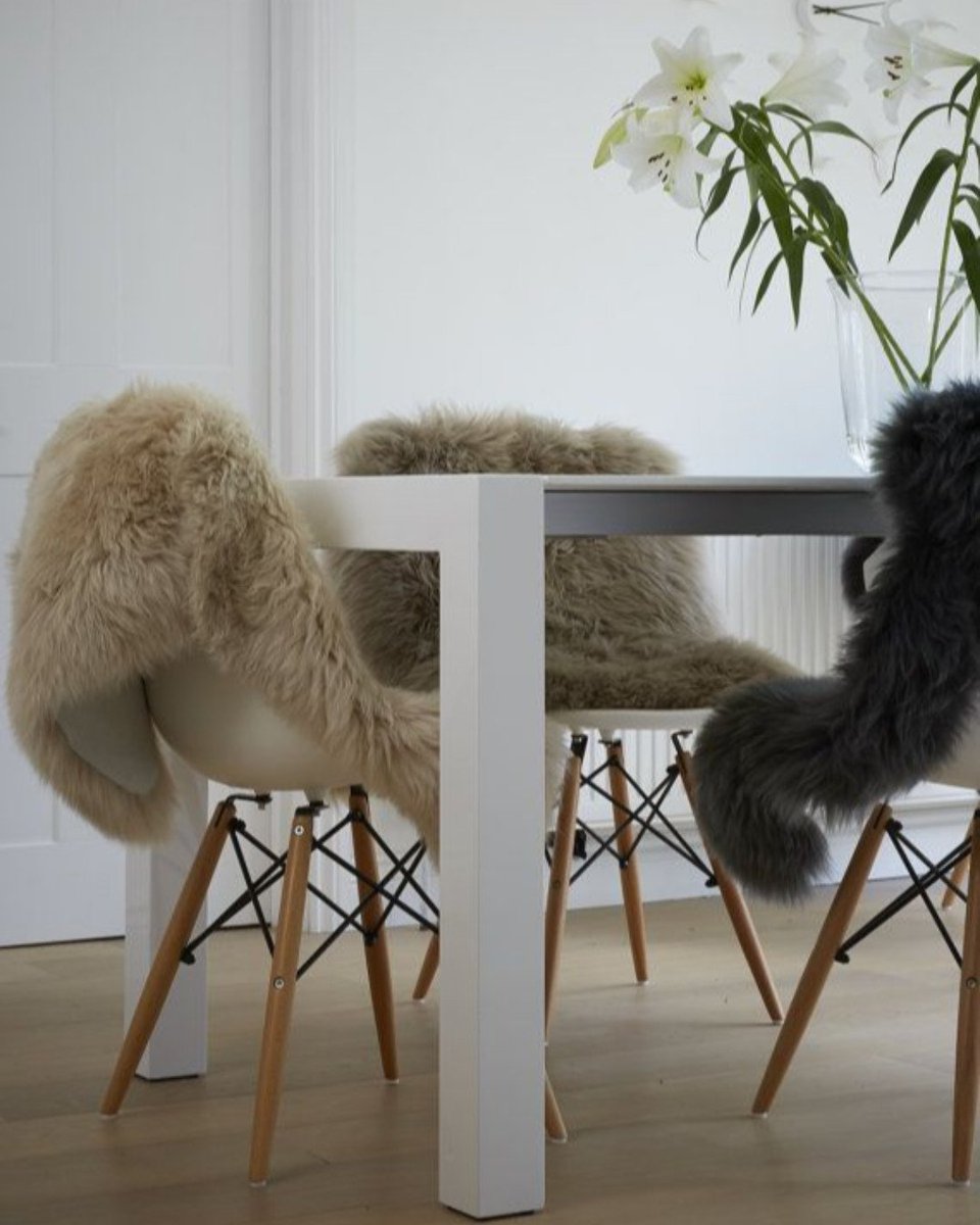 CityCows's tweet photo. Add comfort to your chairs with a luscious single sheepskin. Now available in 10 different colours! Prices starting from £39

Pinterest inspo📸#sheepskinrug #sheepskin #sheeskincushion #sheepskinonchiar #sheepskins #softrug #citycows #fulham #newkingsroad #fulhaminteriors https://t.co/BYXUTNg6Bp