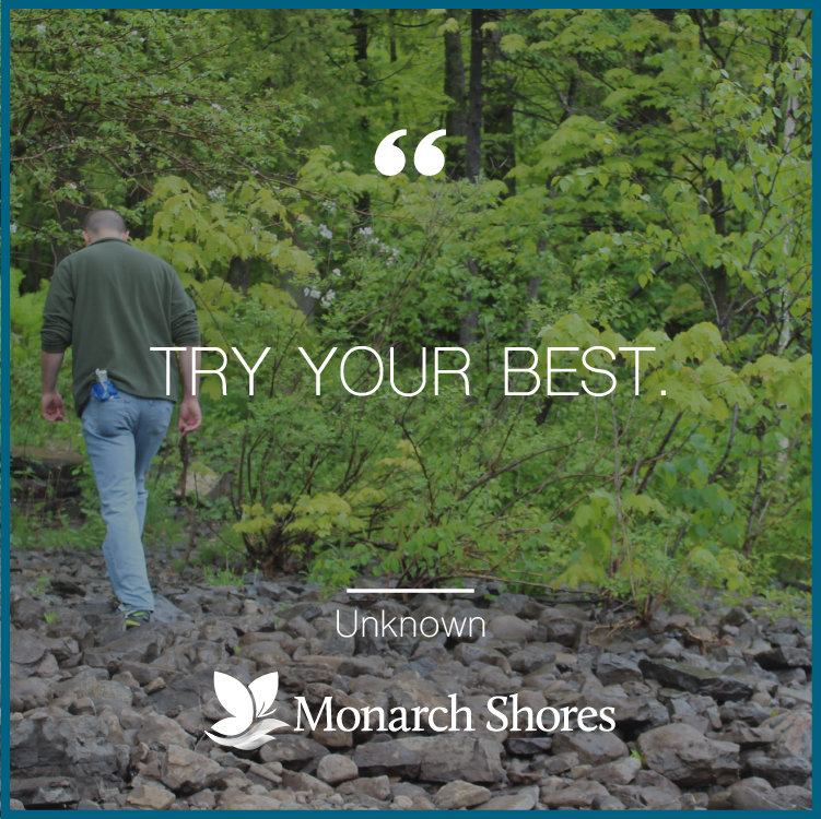 MonarchShores's tweet photo. 💚ALWAYS💚 https://t.co/Gs1o24b6m9