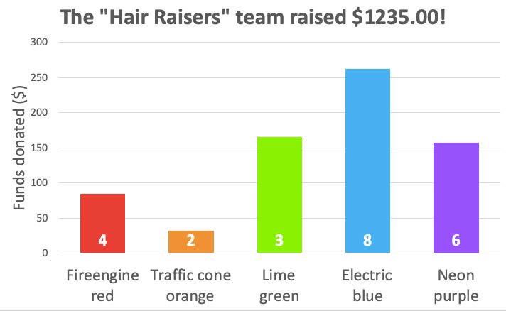 Colour2CC's tweet photo. Sara raised nearly $500 for #ColourToConquer to support #cancerresearch at @pmcancercentre & asked her donors to vote on her colour transformation. Allowing donors to choose your hair colour is a fun way to thank them for their support! Thanks for participating, @SaraMStricker! https://t.co/sxiCAqCgtr