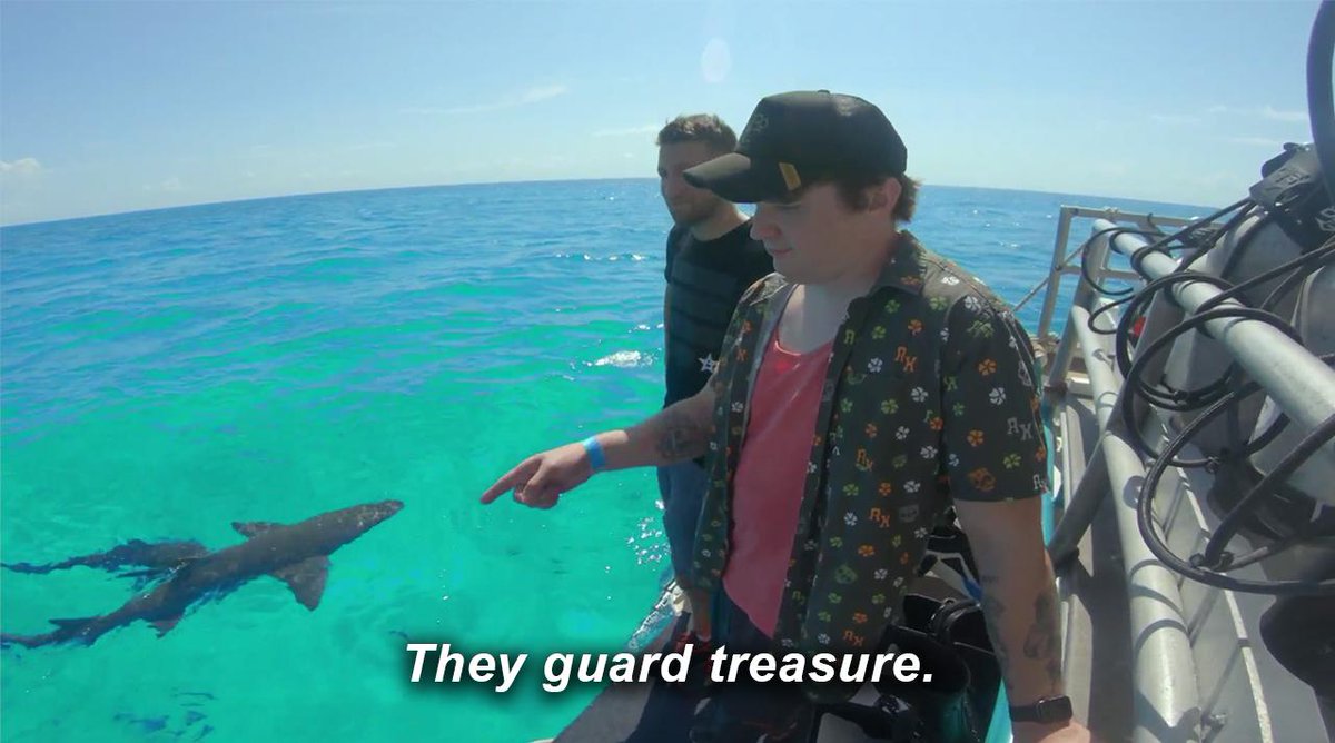 RoosterTeeth's tweet photo. 🦈 https://t.co/D1kpJJIxWy