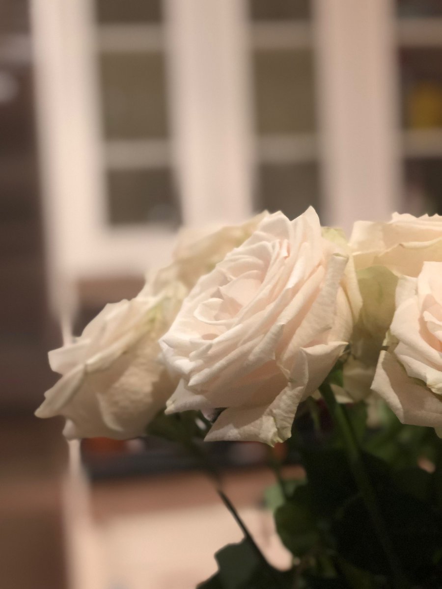 When you get flowers from a loved one where do you like to display them? 💐
These faded pink roses from Flowers Canada have never looked so pretty on a kitchen countertop. #FlowersCanada #CanadaFlorist #TorontoFlorist
🌸 Buy Here: flowerscanada.com