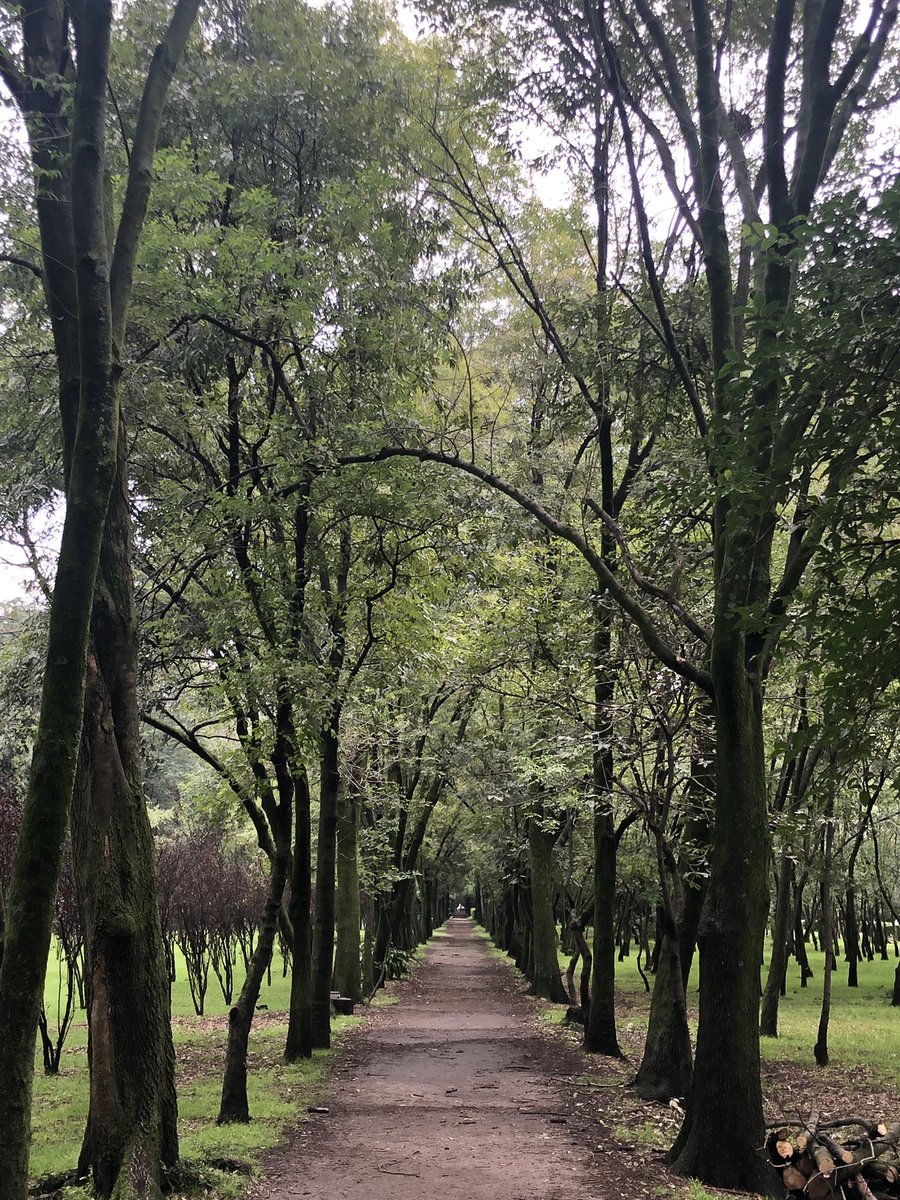 constanza's tweet image. Jueves -