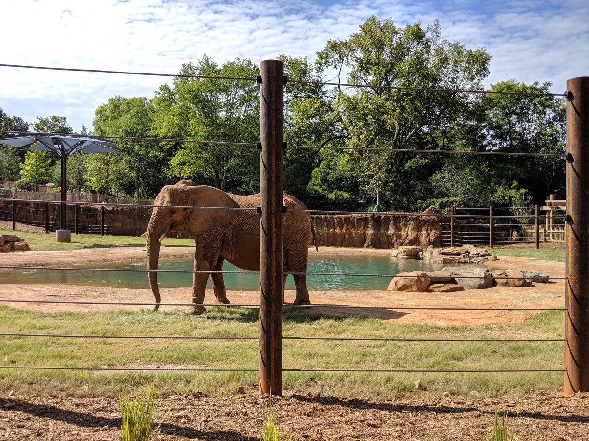 isabeallhudson's tweet photo. Thank you, @ZooATL, for making sure our beloved animals are so well loved and at home while you work to spread awareness & towards conservation of these amazing animals in the wild. Looking forward to volunteering in 1.5 years with my girl - #FutureZooKeeper. #AutismObsession https://t.co/H5dOQdpDCT