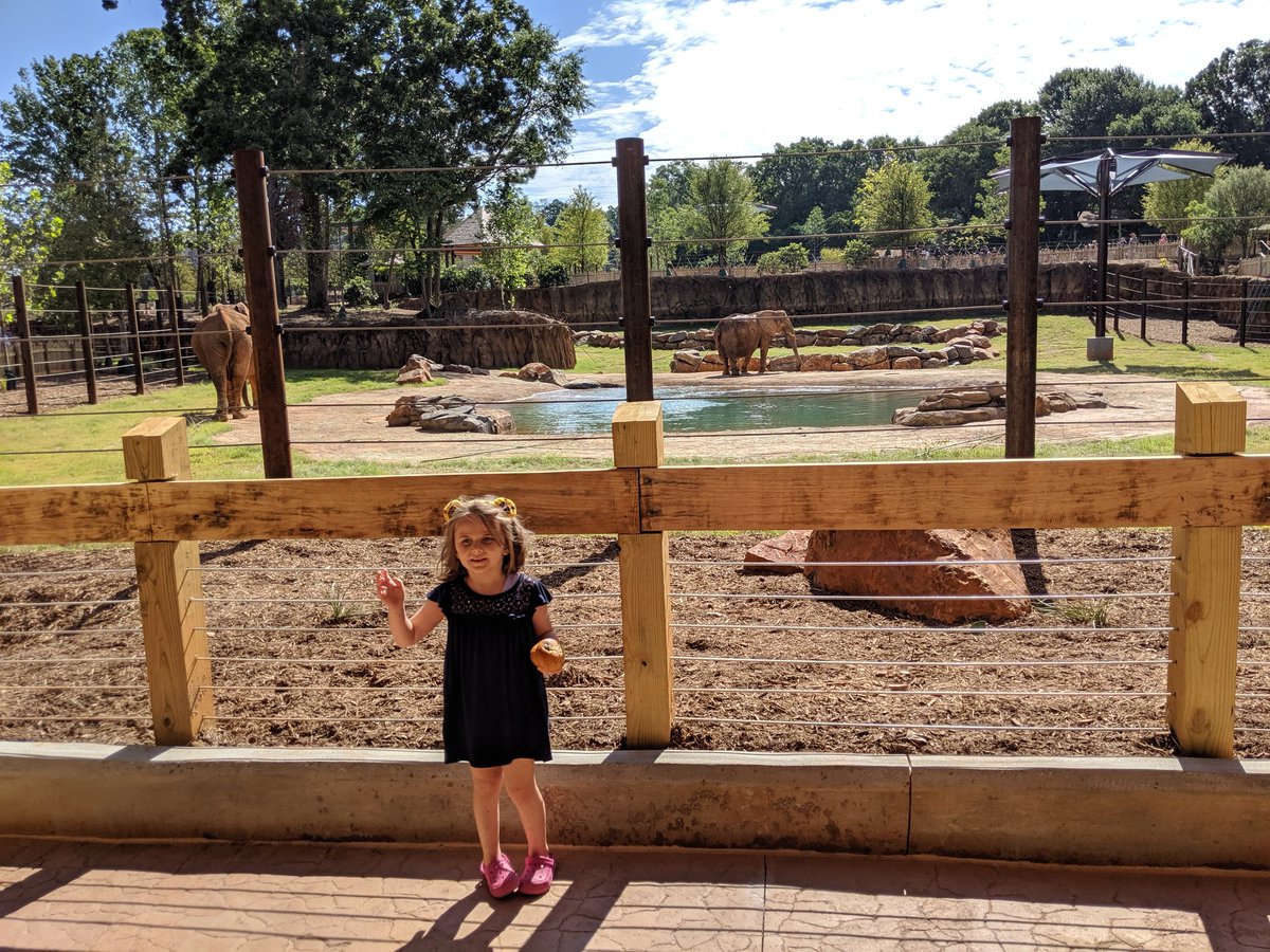 isabeallhudson's tweet photo. Thank you, @ZooATL, for making sure our beloved animals are so well loved and at home while you work to spread awareness & towards conservation of these amazing animals in the wild. Looking forward to volunteering in 1.5 years with my girl - #FutureZooKeeper. #AutismObsession https://t.co/H5dOQdpDCT