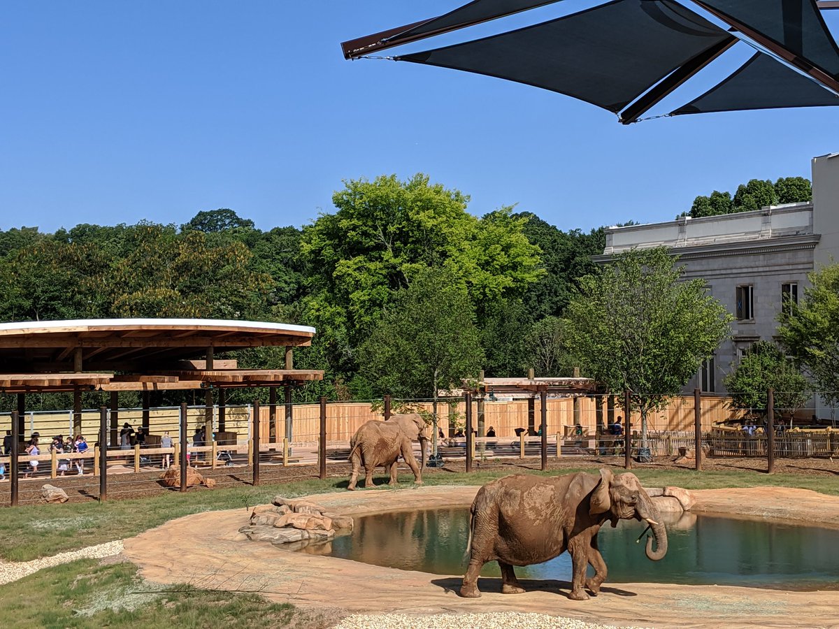 isabeallhudson's tweet photo. Thank you, @ZooATL, for making sure our beloved animals are so well loved and at home while you work to spread awareness & towards conservation of these amazing animals in the wild. Looking forward to volunteering in 1.5 years with my girl - #FutureZooKeeper. #AutismObsession https://t.co/H5dOQdpDCT