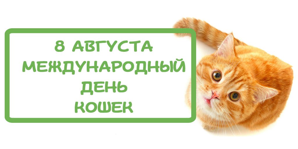 ZooShef's tweet image. Друзья, хотим поздравить всех котовладельцев с Всемирным Днем Кошек! Ура! 
Так что скорее обнимайте и гладьте, теперь еще гладьте...  ну пока сам не убежит радуйте котейку своим вниманием, ведь вы для него - весь мир. А игрушки заказывайте у нас, мы тоже любим котиков)