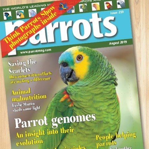 You can see the show photos in this issue. Buy your copy online parrotmag.com/buy-the-latest… or call 01273 464777.#parrotsmagazine #thinkparrotsshow #northernparrots #parrot #pets #parrots #birds #petlovers #parrotlovers #birdlovers #parrotlife #rspca #lpf #loroparque #rosemarylow