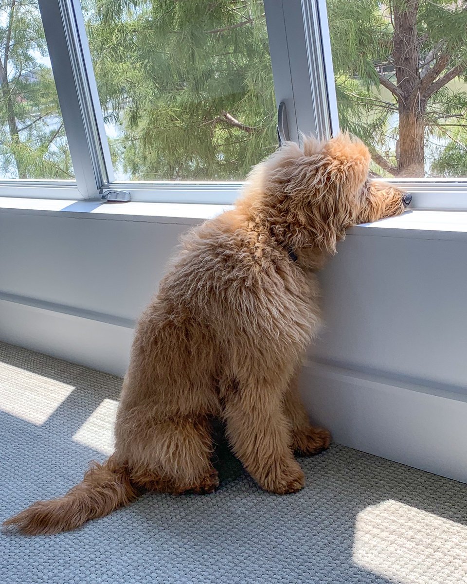 MaxxChewning's tweet photo. When you get a new haircut and she still doesn’t text you back https://t.co/CyaDgtdXg0