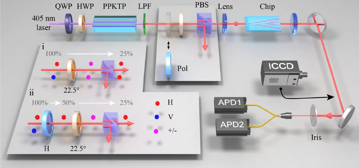 OpticaPubsGroup's tweet photo. via #OSA_Optica: Topological protection of two-photon quantum correlation on a photonic chip https://t.co/ovTI0pwCc2 #QuantumComputing #QuantumCorrelation #TopologicalPhotonics https://t.co/Tw464ukmXm