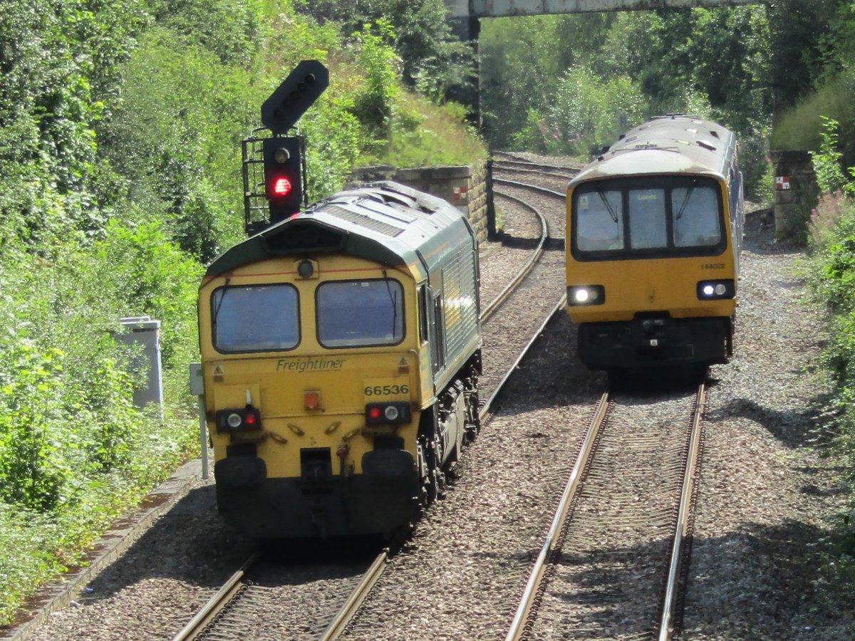 WetdogFBK's tweet image. 144022 passing 66536 at Oakenshaw 8/8/19 #class144 #class66 #locomotive