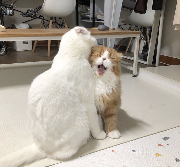 พอพี่น้วยบ้าง หน้าแกต้องฟินขนาดนั้นเลยเหรออั้ยเด็ก55555555555555555555555