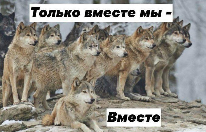 EBdtnuhWwAAbVHO?format=jpg&name=small