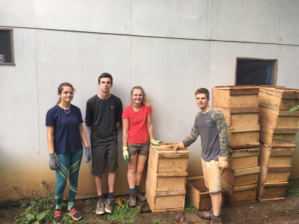 Camp_CostaRica's tweet photo. #TeamIlanIlan finishing off some beehives at #CampCañoNegro🙌🏽🐝 #DoSomethingAmazing #CampsEffect @CampsInt https://t.co/s49jQDcpaR