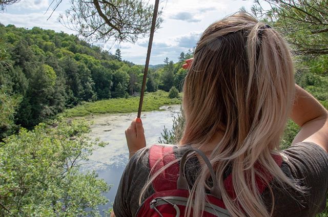 jimflynn7's tweet photo. Always searching for the next place to explore.
.
.
.
.
.
.
#explore #exploreontario #explorecanada #getoutthere #nature #camping #adventure #discover #summertime #sunnydays #haliburton #forest #canada #canopytour #walkingintheclouds https://t.co/SG6UTh1LJd