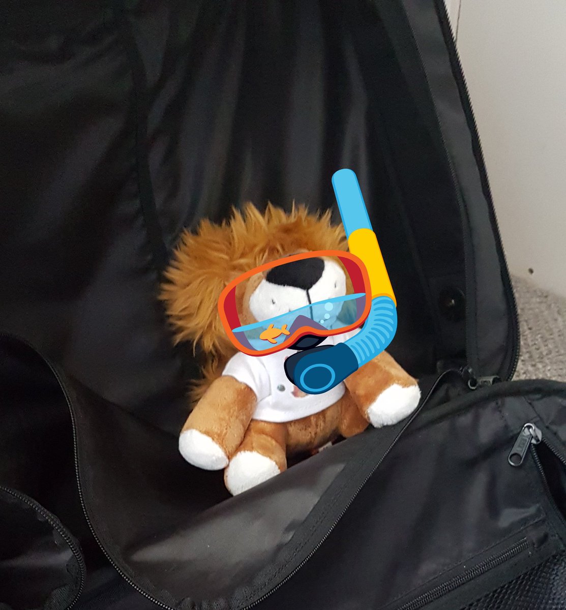 AC_ActiveMinds's tweet photo. Is your @ActiveCheshire #ActiveArchie coming on holiday with you this year? We'd love to see what he gets up to and how he gets active. Please tweet your #ActiveArchie holiday photos. https://t.co/mvZQGDFZbJ