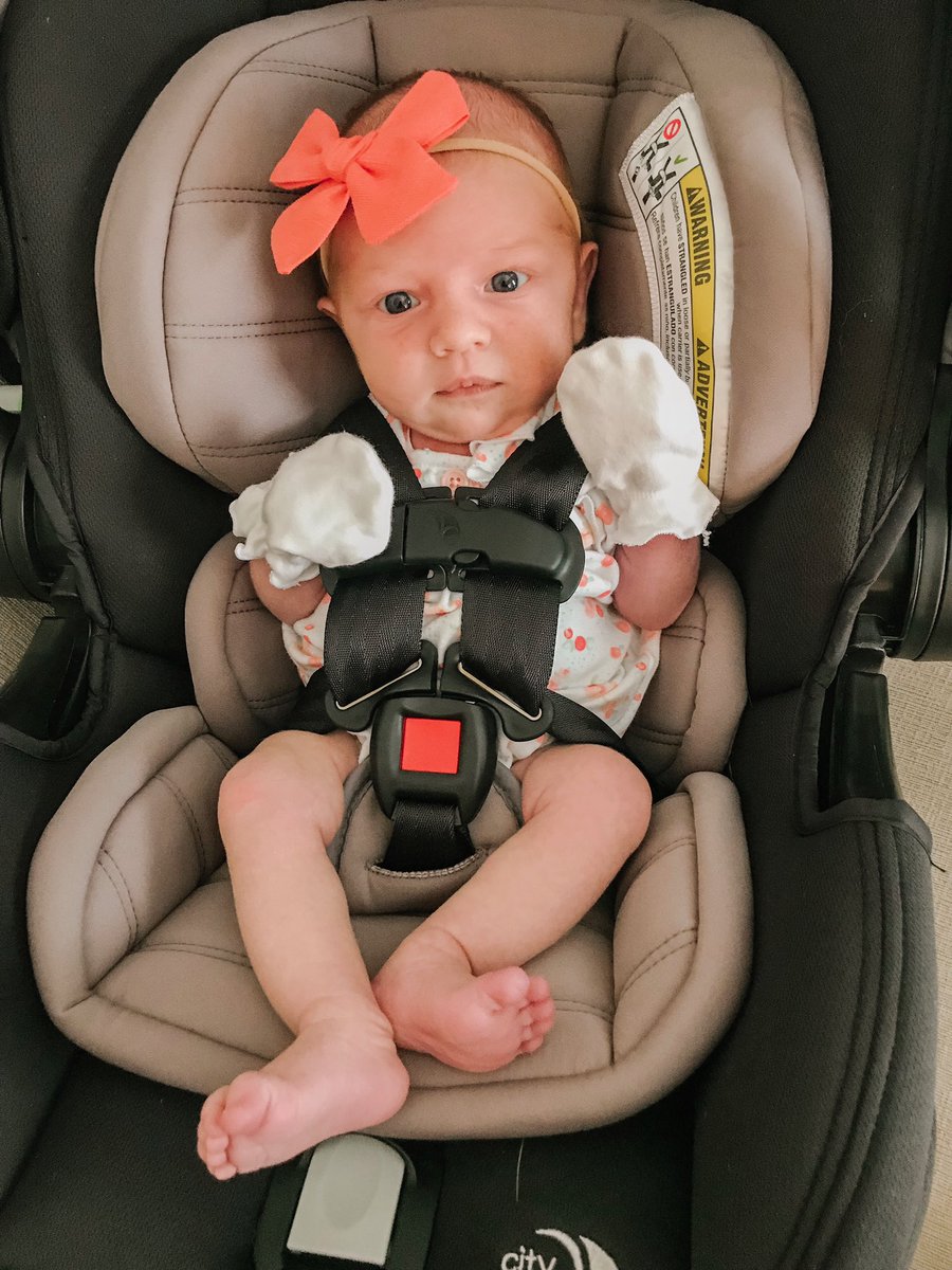 Whitney O’Hara tweet media