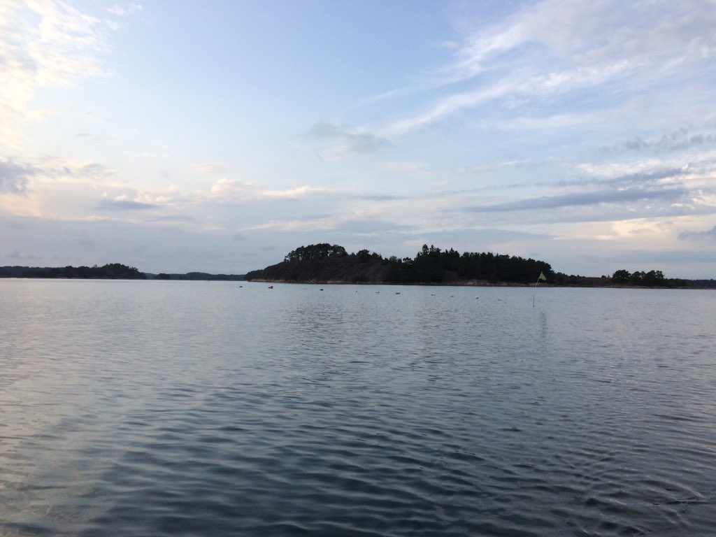 Mathgamain's tweet image. Fishing herring tonight at Kimito Island. Dreamcoin# Dreamteam#