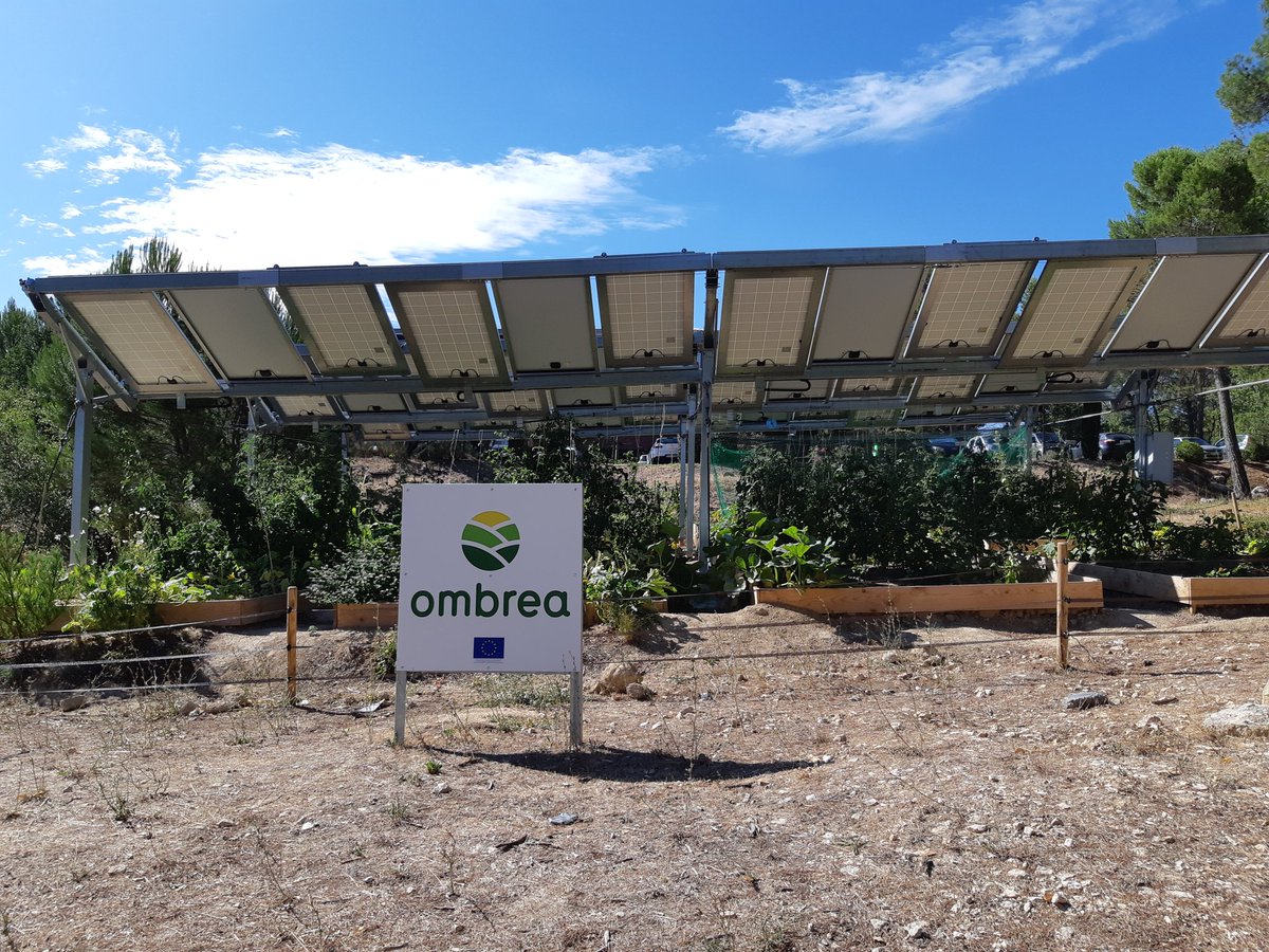 matthieu_birot's tweet photo. En visite chez @Ombreafr avec Marion de @MiiMOSA_fr pour préparer le #Smartfoodchallenge . Merci Constance https://t.co/15Nlr3JvnX