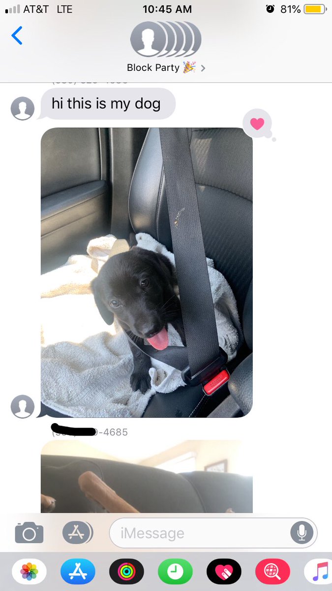 Awcanavan777's tweet image. Hit up the whole neighborhood, just shared some pics of our dogs. #numberneighbor