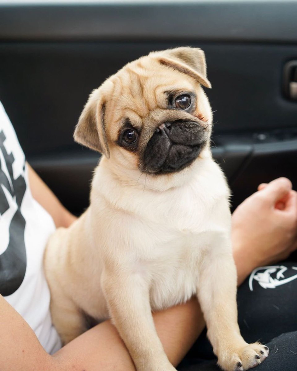 When your parents drive past the park 😓💔✨