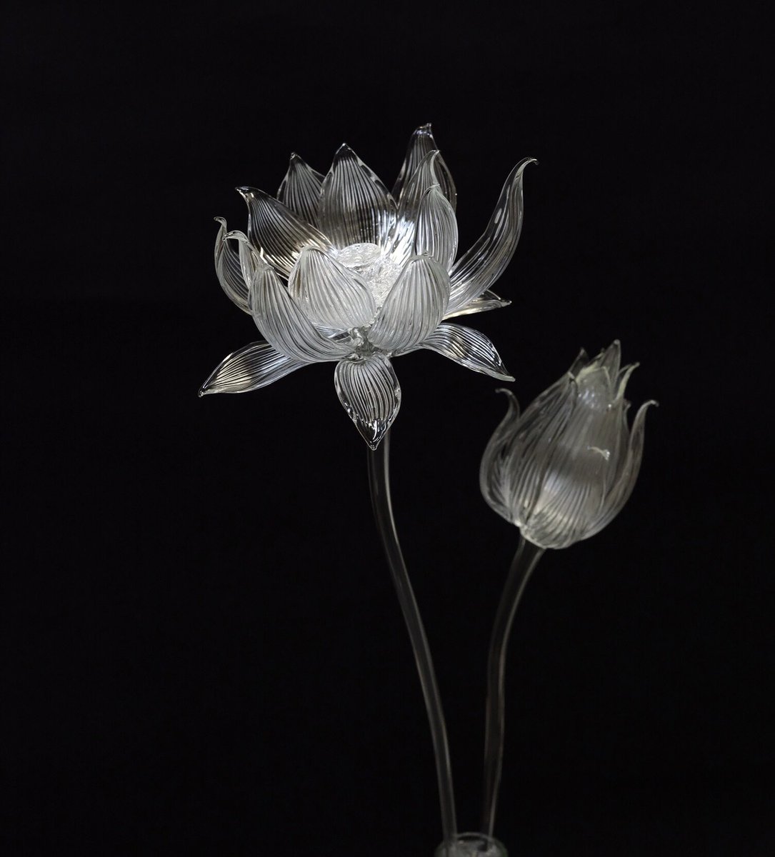 Utsusemi Glass Sculpture 在 Twitter 上 梅雨といえば蓮の花作るよ 静かな佇まいになるように生けて 頭が重いので何度か炎で茎を曲げてようやく安定 夏真っ盛りなので涼やかな感じになり これで蓮の花は終了 蓮のはな ハス ランプワーク Borosilicate
