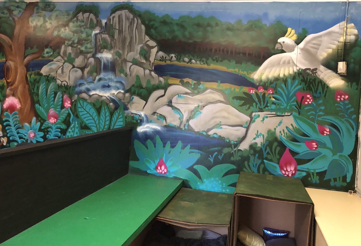 Michelle Drage tweet media