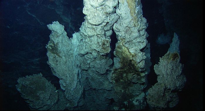CaraSantaMaria's tweet photo. Tiny bubble ocean fizz could have helped to kick-start life on Earth.
#OceanBubbles #Biomolecules #HydrothermalVents #DNA #LifeonEarth
https://t.co/nmnivIprj6 https://t.co/Z14bhZg0ne
