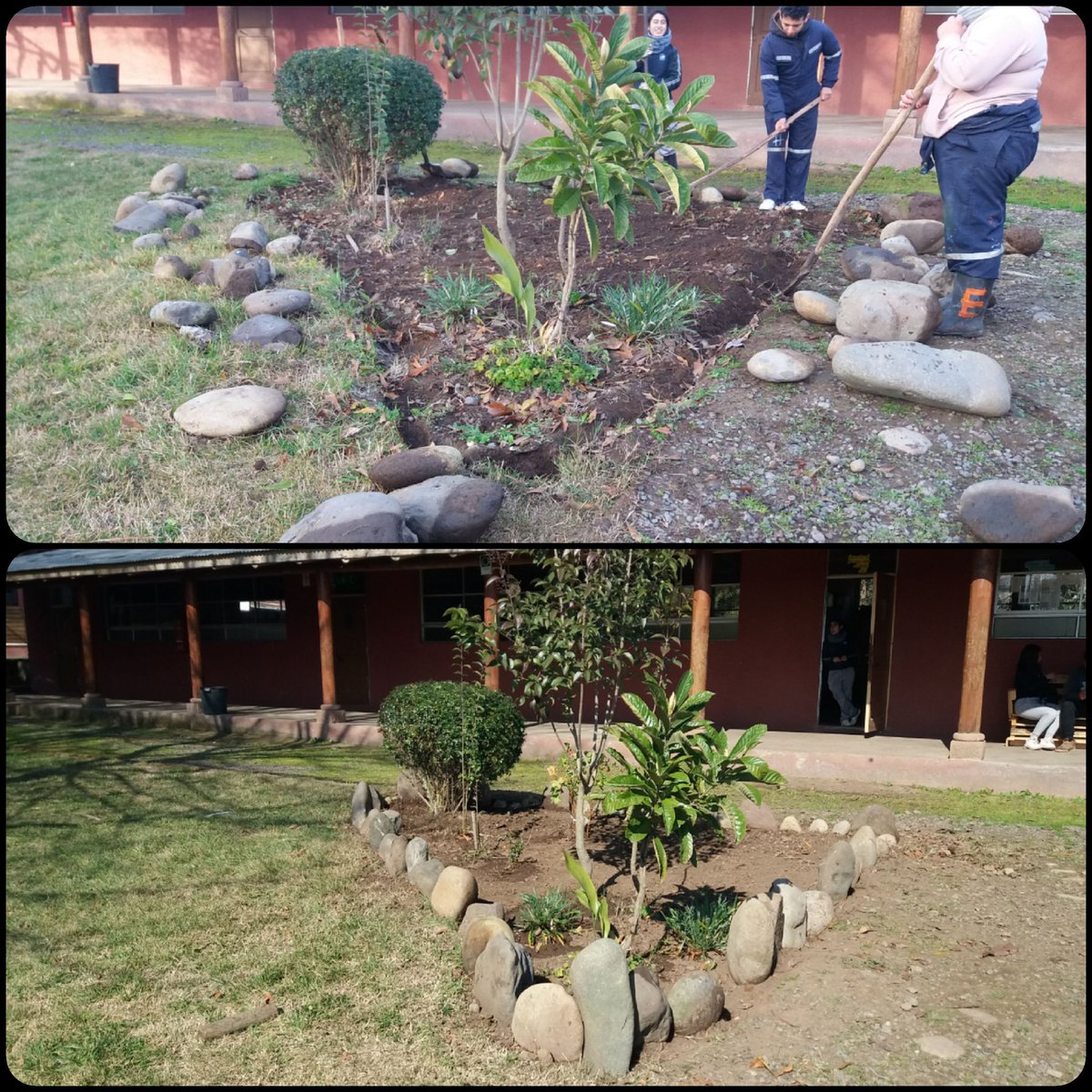 colegioagricNMV's tweet photo. #beforeandafter #romeral
Trabajando en las areas verdes internas de nuestro establecimiento falta solamente la #araucaria que esta esperando trasplante en el #vivero
#cultivandofuturo #canmv @SoulxSol @leonardocanduri @AvilaAmdres @CarlosAmunche @ClaraLu26512487 @conaf_minagri https://t.co/Tm4zo1HJRX