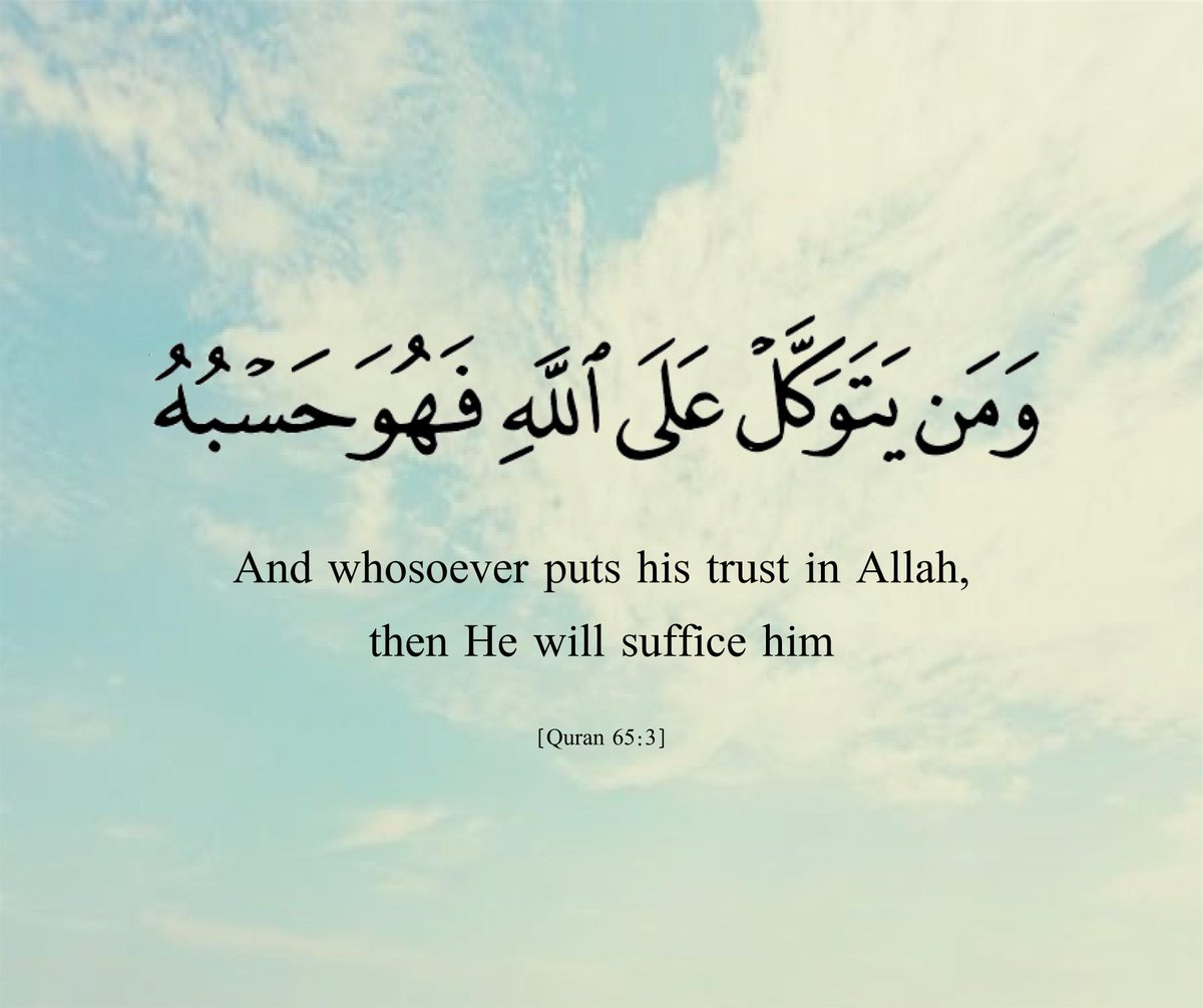 Arabic Box tweet media