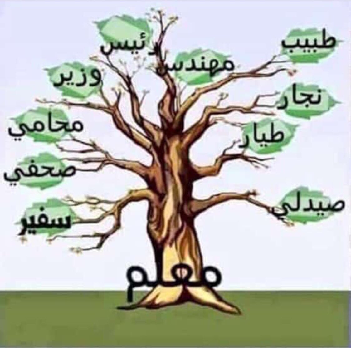 SL_Mughairy's tweet photo. انتبهوا للجذور من العطش ...
فإن عطشت سقطت الأوراق
#العلاوة_السنويه42 https://t.co/QJ5N6ePy3s