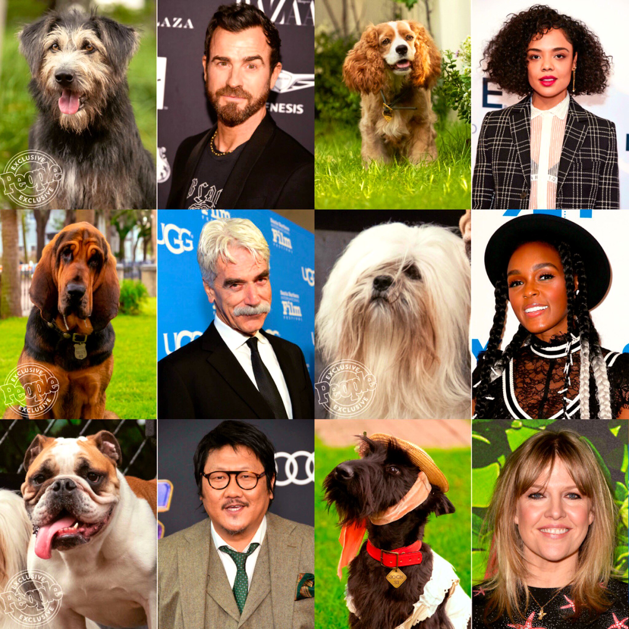 Diz 在 Twitter 上 ディズニー実写化 わんわん物語 の声優キャストたち 本物の犬たちが演じています 今回は劇場ではなくディズニープラスにて独占配信予定 T Co Olchxx1jyx Twitter