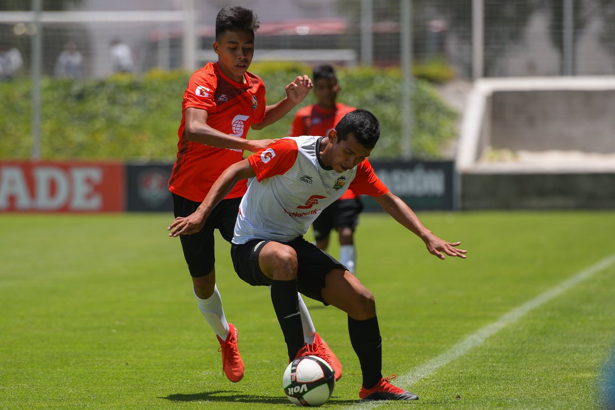 SectorAmateur's tweet photo. #LNJS19 l Así se vivió la jornada 2 de la Fase Nacional de la #LNJS U15😎
Galería completa en:
👉 https://t.co/VmM9rMHBvu
#DondeNaceLaPasión #FMFPorNuestroFútbol @ScotiabankMX @ScotiabankFC @gatorademex @VoitOficial @Edomex @atleticamx https://t.co/PDbKMcIQMc