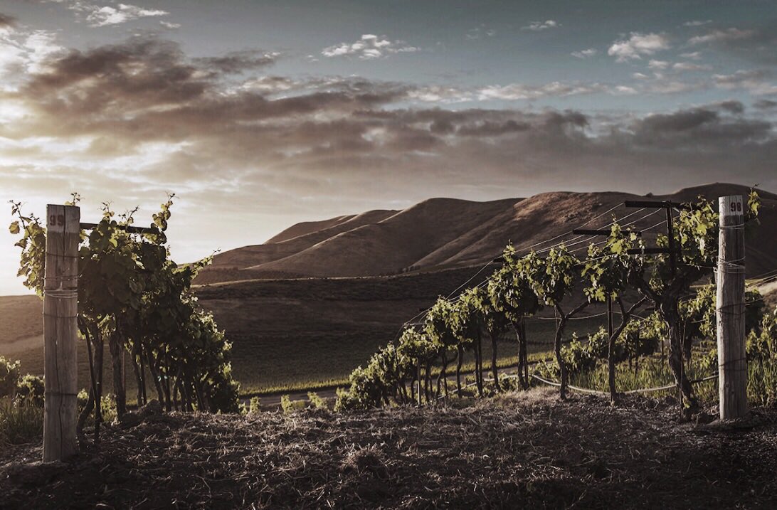 wildbluegetaway's tweet photo. N A P A • New blog post! Check out the 7 best drinking cities in the US. Thank you, #NapaValley - don’t mind if we do! 🍷😍 

https://t.co/2lsMDYE4G6 https://t.co/LpQi2KRcIY