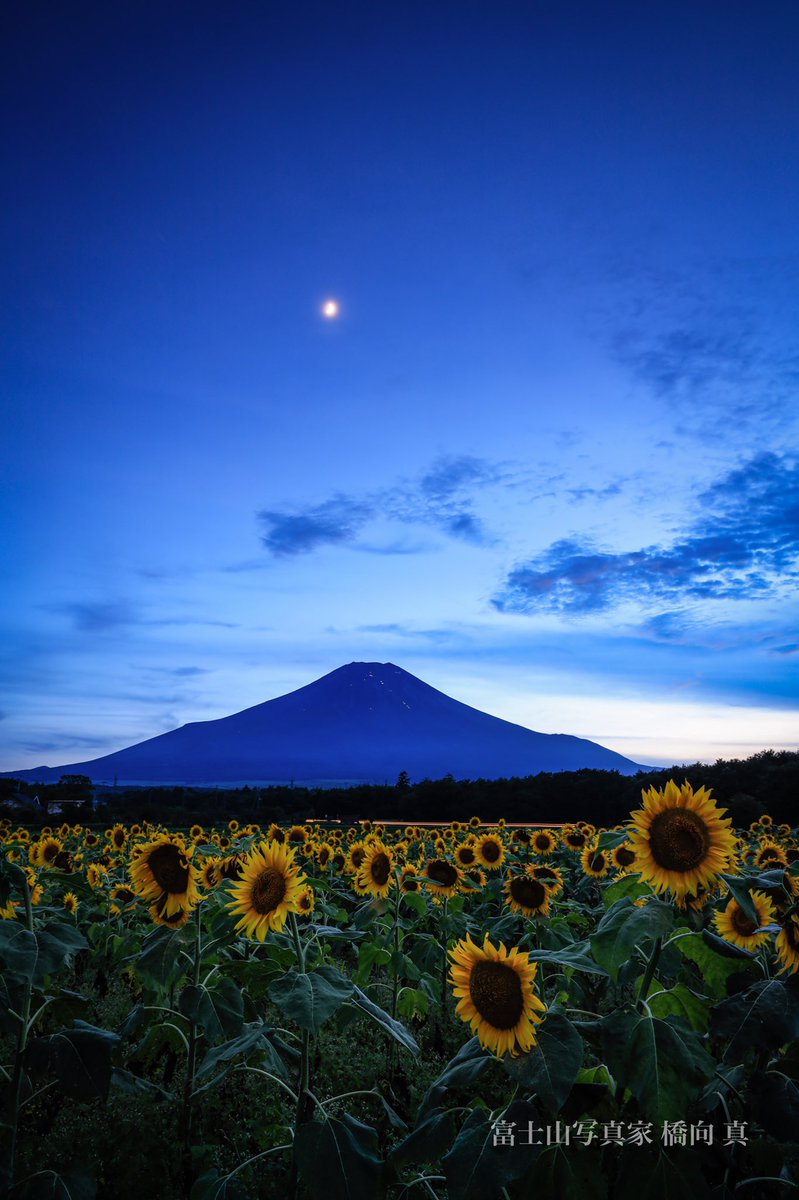 新富士山景 神気 橋向 真 おはようございます 夏の富士山 燃えるような夏の富士 涼しげな夏の富士 どーぞ 待ち受けにお使い下さい 富士山カレンダー インプレス T Co 0fgek4jbg2 エイ出版 T Co Nvmqzvihtx