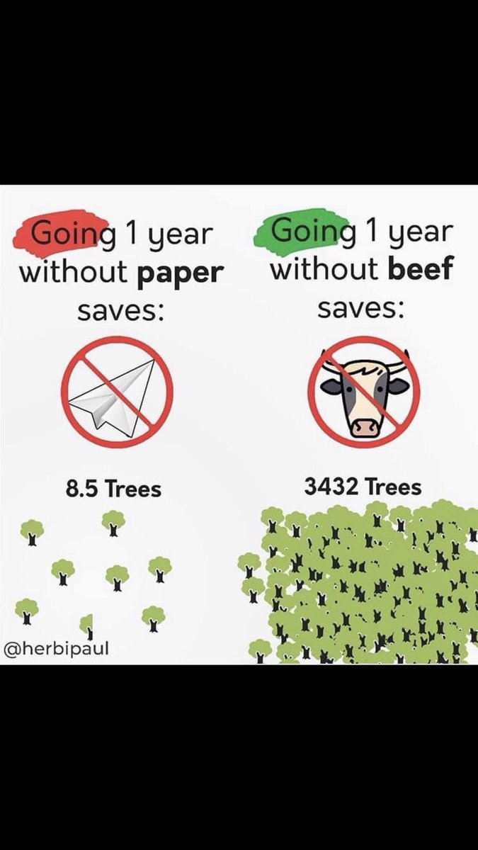shugus15's tweet photo. ‼️ https://t.co/fkO2HjgilX