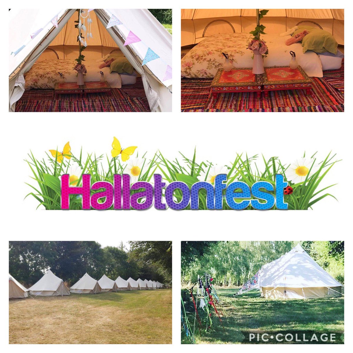 Only 3 glamping tents left, don’t miss out!

#hallatonfest #glamping #parTpees #festivals #hallaton #family #camping #airambulance #augustbankholiday #leicestershire #summer #music #besttinyfestival

Book now: hallatonfest.co.uk