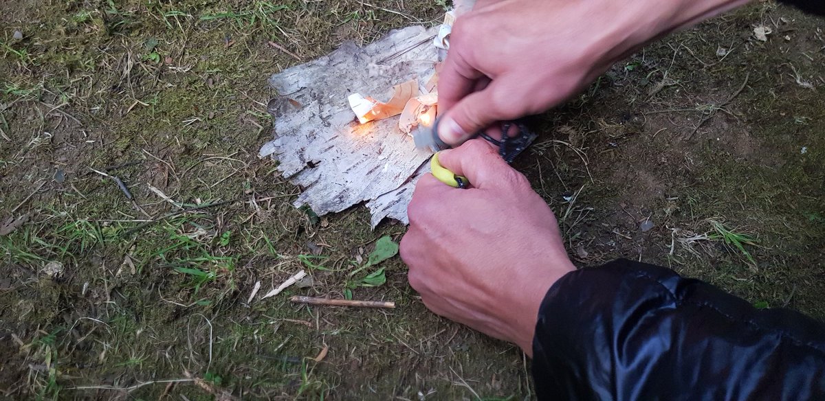 Monrechaud's tweet photo. L'écorce de bouleau, c'est le meilleur ami de la pierre à feu ! Ici, allumage du feu avec la Firesteel de Light My Fire 》https://t.co/zJeMyZtztd https://t.co/Hf9JETQwnP