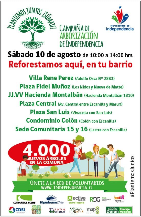 Terapia Ocupacional tweet media