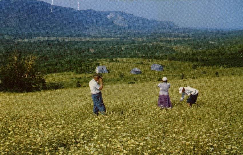 beatoninstitute's tweet photo. Today on the #BeatonSummerTour we stop at #SunriseValley. This area situated west of #AspyBay is so named for the #beauty of its #sunrises.

Sunrise #Valley, #CapeBreton. 1950. 77-1502-1636. https://t.co/LhvGw6bJvT