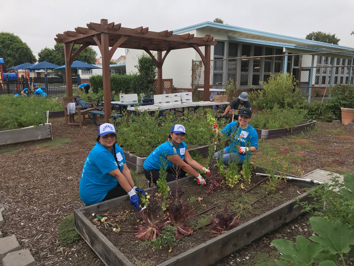 Lyman Fox tweet media