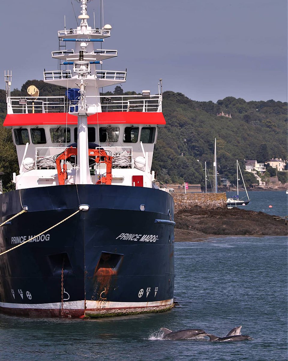 Tanya Riley tweet media