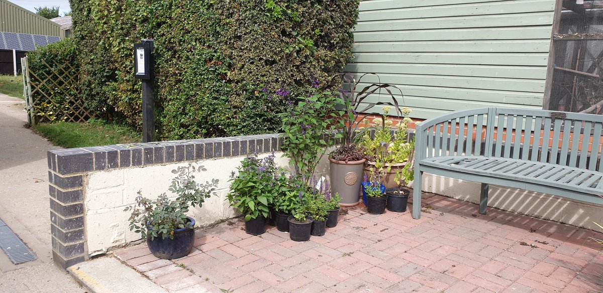 Brent Lodge Wildlife Hospital (@brentlodge) on Twitter photo Thank you to Homebase Chichester and <a href="/MNursery/">Meadowgate Nursery</a> for donating plants for our Supporters Day on 17th Aug. If you have any to donate we would really appreciate it. πΏβπ₯πΊπ»πΌπΈπΎ Thank you to Homebase Chichester and <a href="/MNursery/">Meadowgate Nursery</a> for donating plants for our Supporters Day on 17th Aug. If you have any to donate we would really appreciate it. πΏβπ₯πΊπ»πΌπΈπΎ