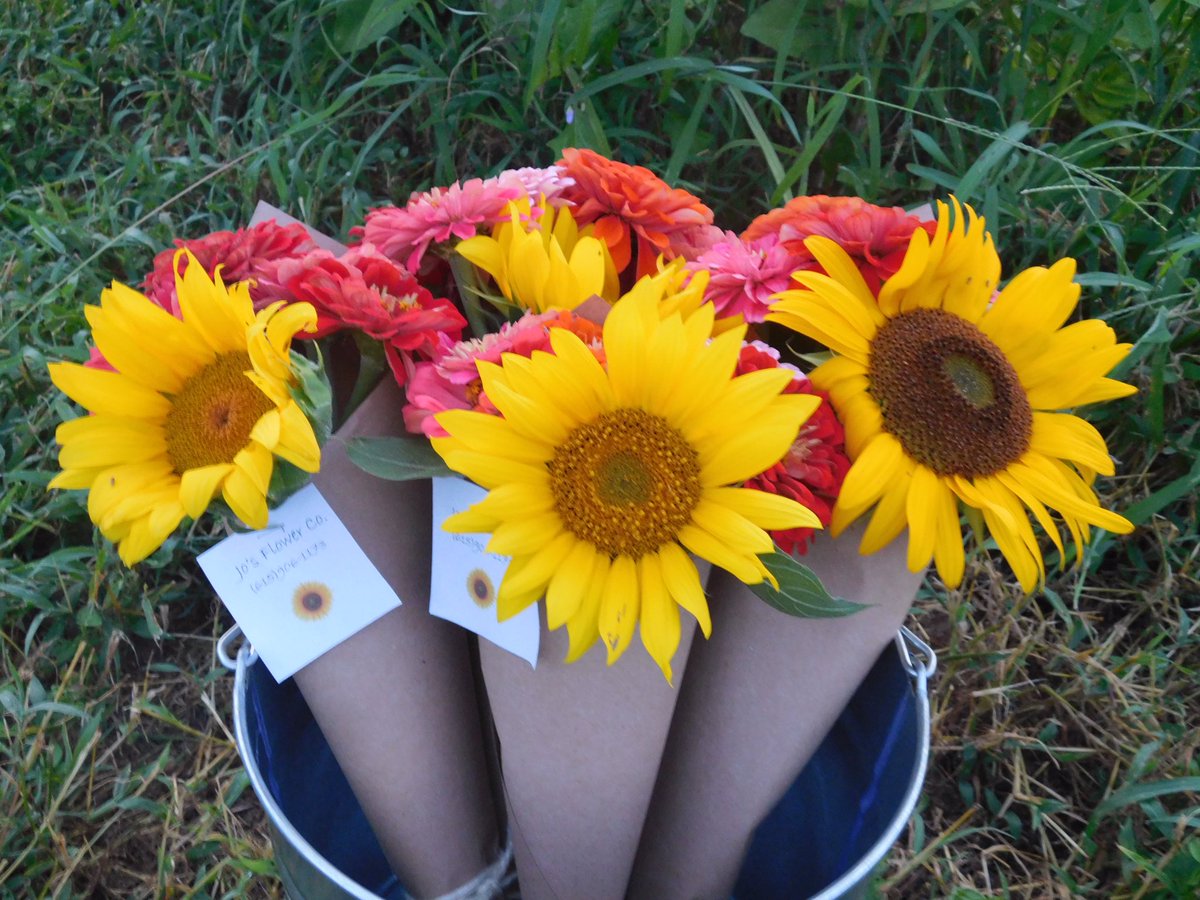 JosFlowerCo1's tweet photo. Hey y’all I’m Jo! I’m a flower farmer located in Cross Plains, TN! Right now I sell two size varieties of bouquets, a regular sized one and a large one. The large are $12 and the regular are $8. Please message me if interested or if you have questions! https://t.co/42zcGlt97k
