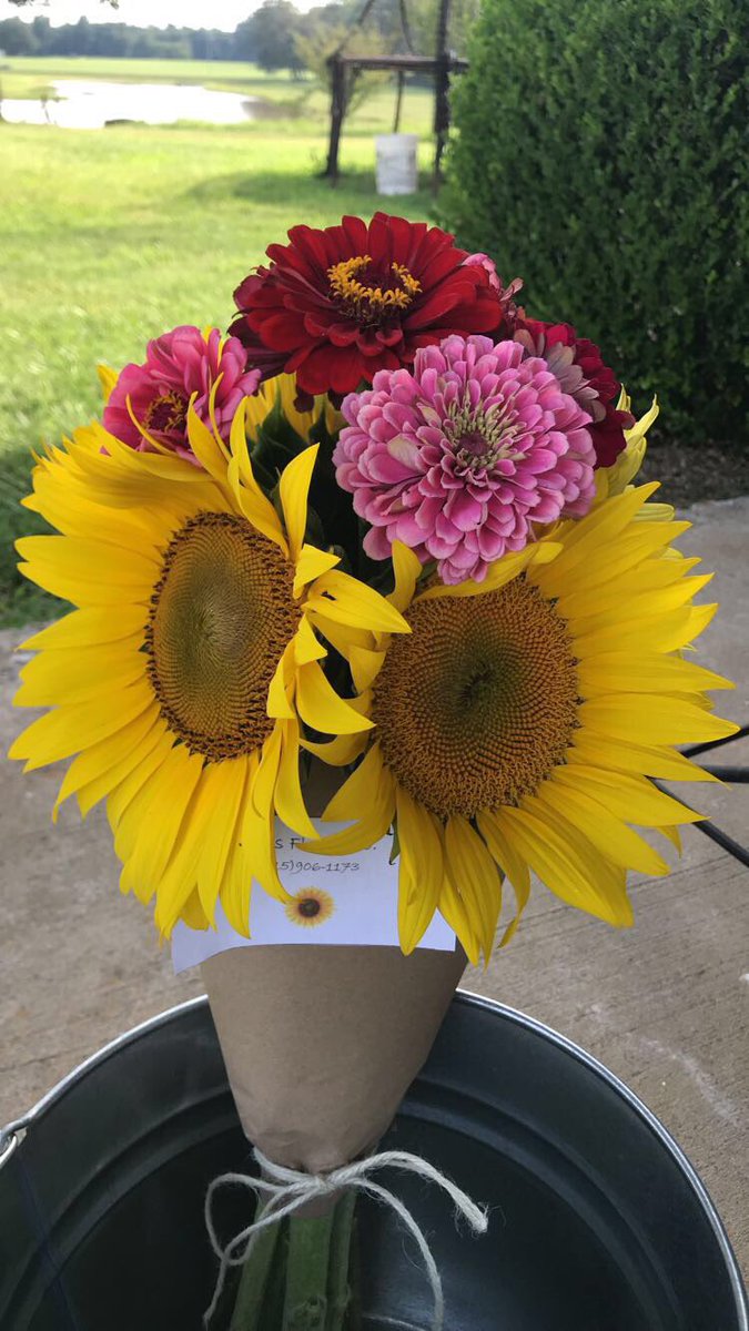 JosFlowerCo1's tweet photo. Hey y’all I’m Jo! I’m a flower farmer located in Cross Plains, TN! Right now I sell two size varieties of bouquets, a regular sized one and a large one. The large are $12 and the regular are $8. Please message me if interested or if you have questions! https://t.co/42zcGlt97k