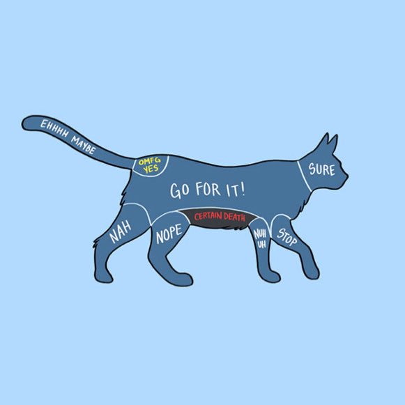 archiveorbit's tweet image. UTILIDADE PÚBLICA

lugares onde pode e não pode/não deve acariciar os animais para eles não te atacarem e se sentirem confortáveis :)